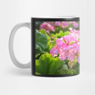 Greece - Flowers in the sunlight Mug